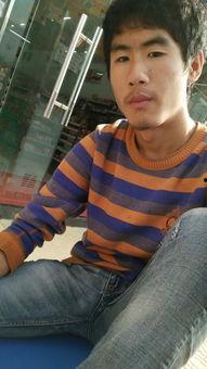 松树男孩猜明星,揭秘明星背后的神秘面纱